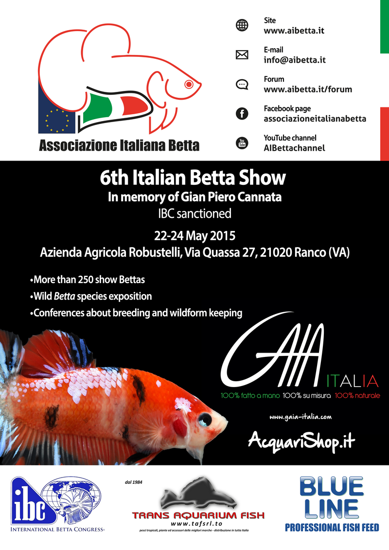 6th Italian Betta Show - 22-24 may 2015 Ranco (VA) - IBC SPP8DF