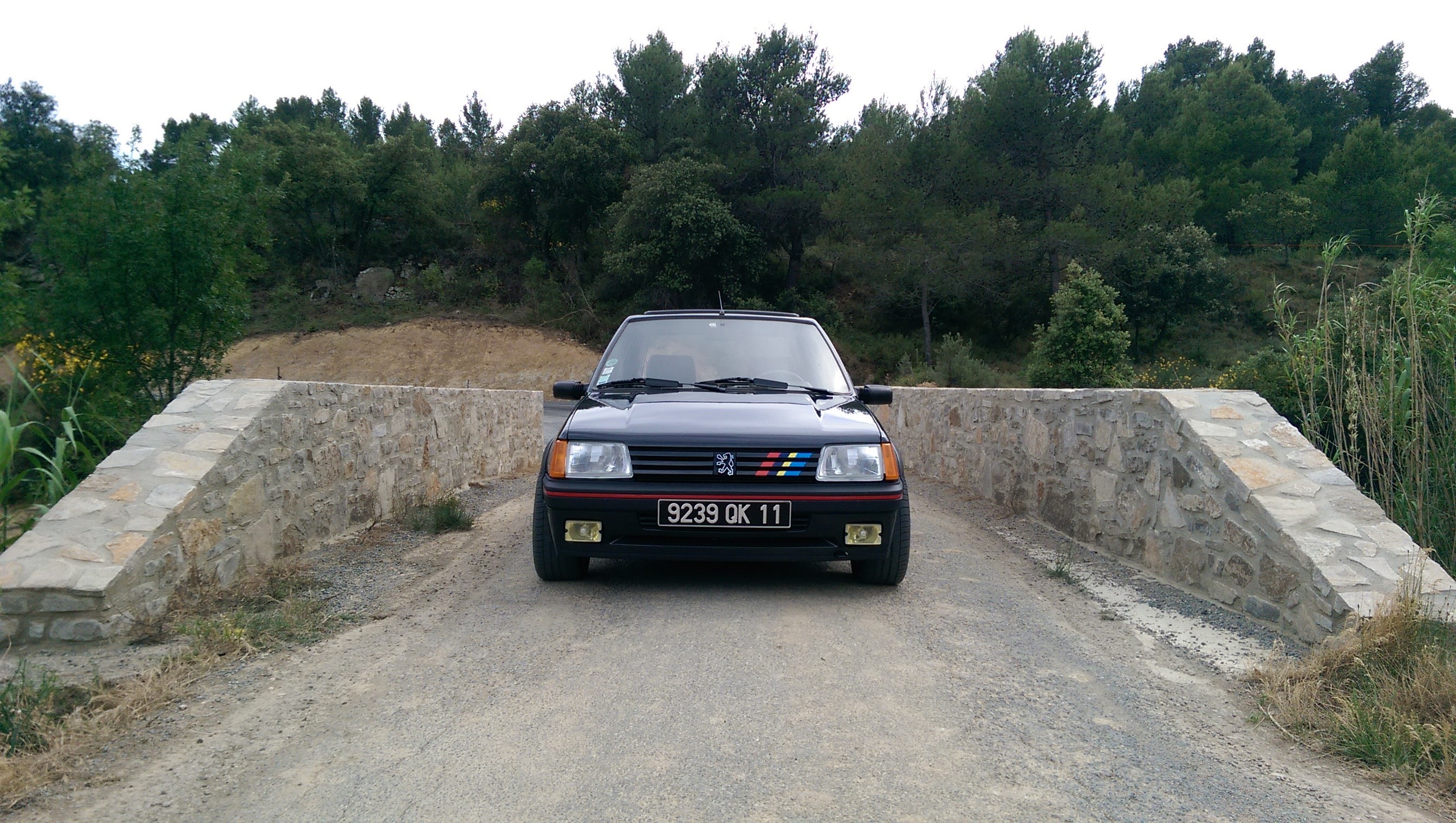 [toreto04] 205 GTI 1.6L - Gris Graphite - 1988 - Page 11 Cv6k