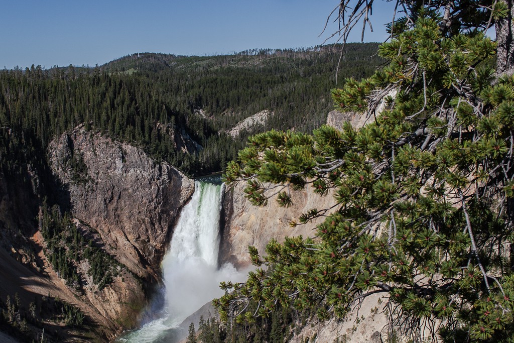 Yellowstone- Paysages- MàJ et Fin 3V0J79