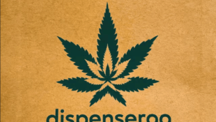 Illegal weed delivery start-up Dispenseroo sees meteoric growth in the UK