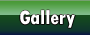 Galleria