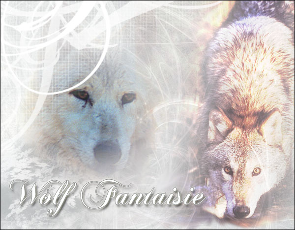 Wolf Fantaysie