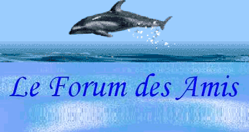 Forums d'amitiée               منتديات الصــداقة