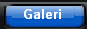 Galeri