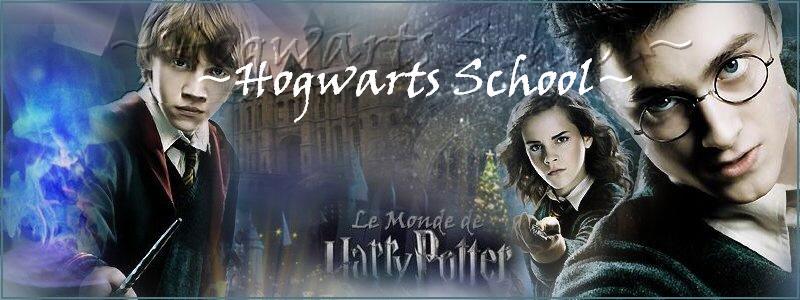 Hogwart's School