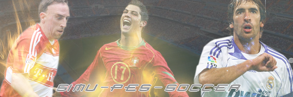 PES2009-simu