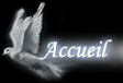 Accueil