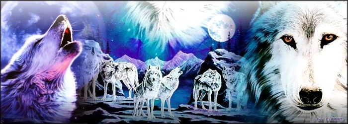 La Compagnie des Loups