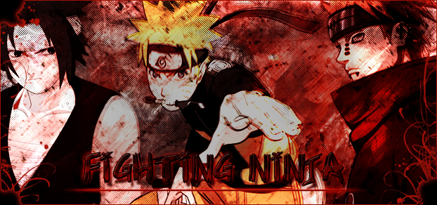 Fighting Ninja Tome II