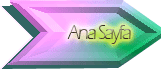 Anasayfa