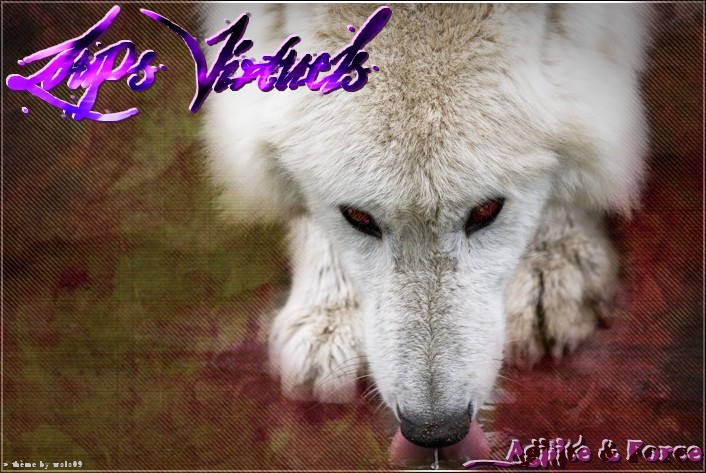 Loup Virtuel *