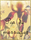 Pas de nouveaux messages