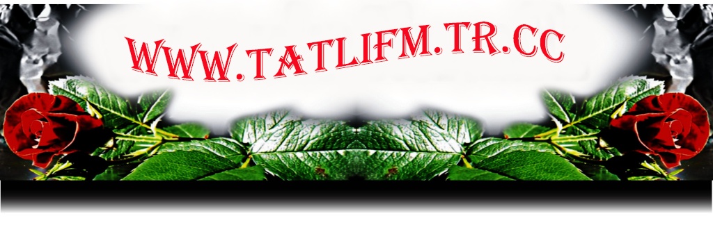 knt aratrma I_logo