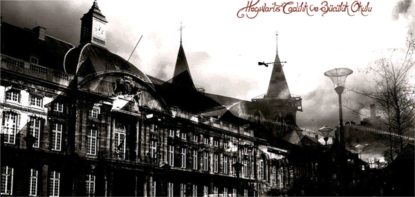 Hogwarts Cadılık ve Büyücülük Okulu 