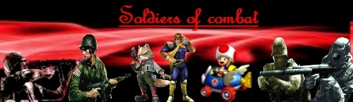 Soldiers of Combat