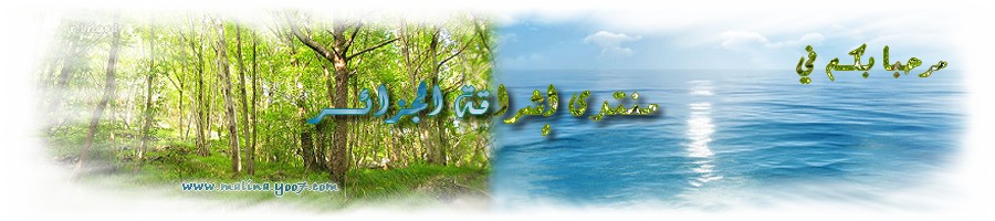 منتدى ستار هاي