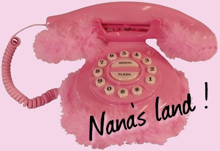 NaNa's LanD