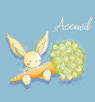 Accueil