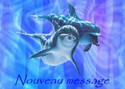 Nouveaux messages [ Populaire ]