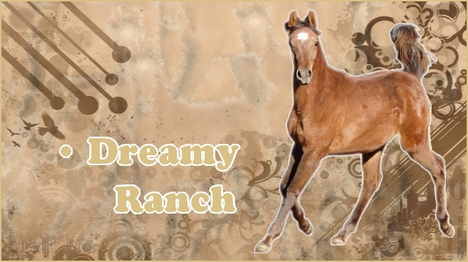 Dreamy Ranch