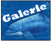 Galerie