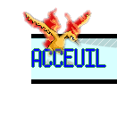 Accueil