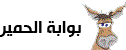 البوابة