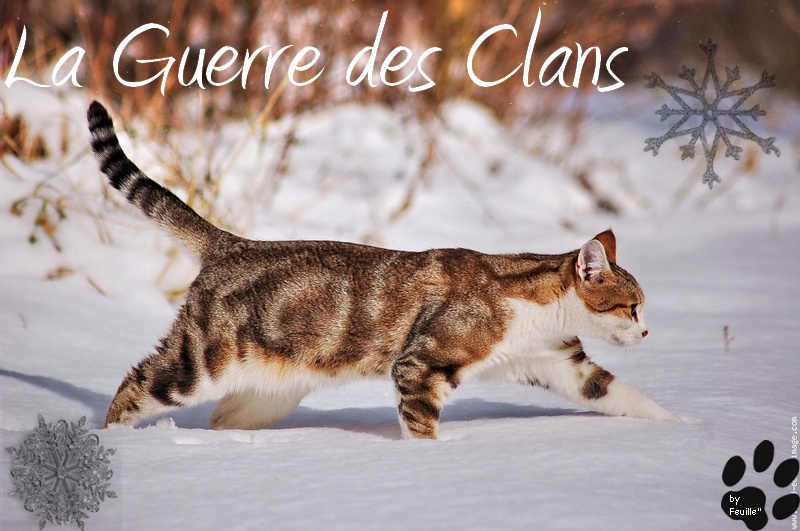 La guerre des clans