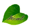 Accueil