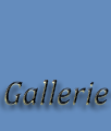 Galerie