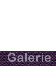 Galerie