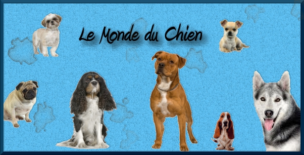 LE MONDE DU CHIEN