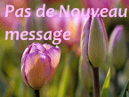 Pas de nouveaux messages