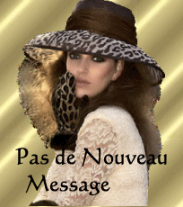 Pas de nouveaux messages