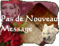 Pas de nouveaux messages