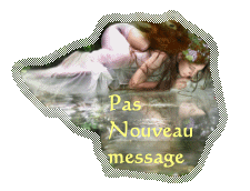 Pas de nouveaux messages