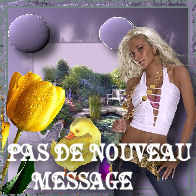 Pas de nouveaux messages