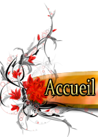 Accueil