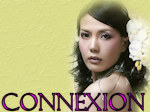 Connexion