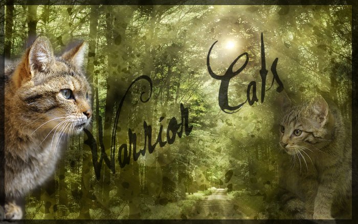 Warrior Cats