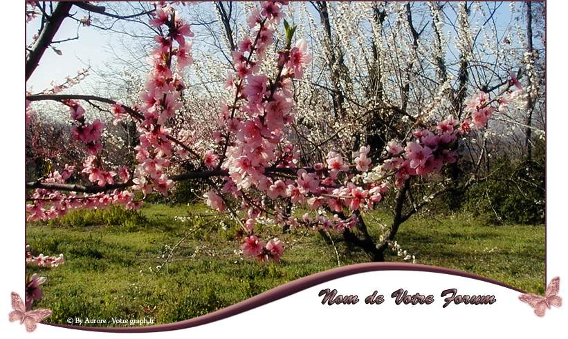 Au jardin des créations