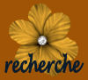 Rechercher