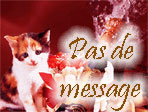 Pas de nouveaux messages