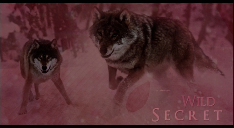 Secrets-de-Loup