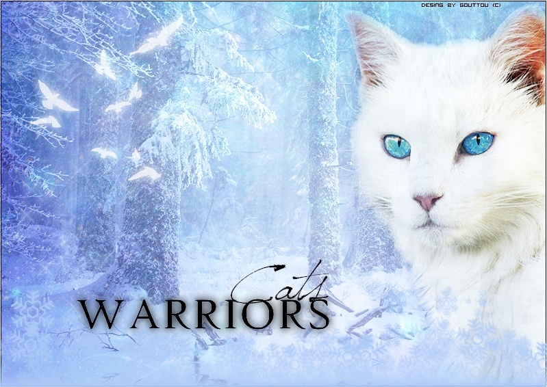 Cats Warriors