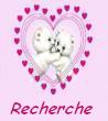 Rechercher