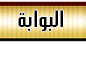 محمود الريدى