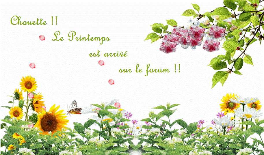 La passion du digiscrap de winniecarine