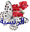 الرئيسية