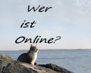 Wer ist online?